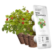 Змінні картриджі Click&Grow (38)