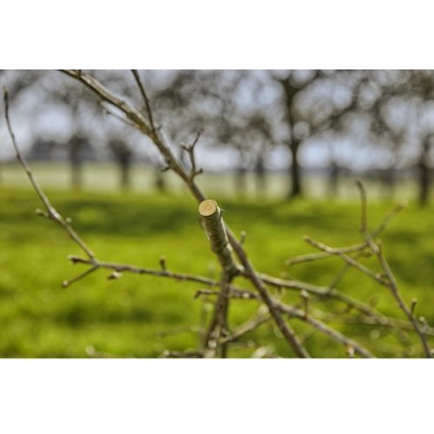 Секатор Gardena ExpertCut обвідний 22 мм(12203-20.000.00)