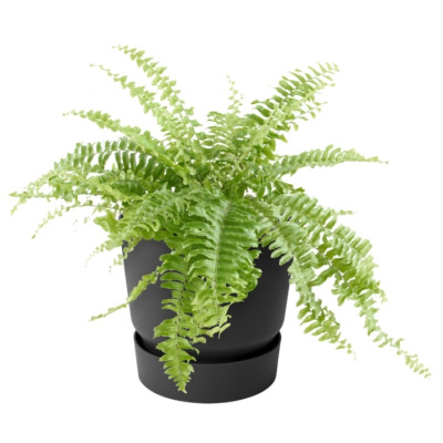 Вазон Elho greenville plant hanger single граніт