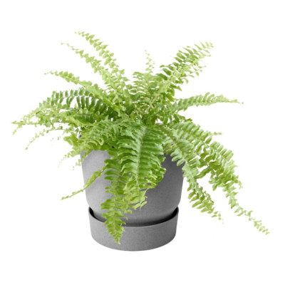 Вазон Elho greenville plant hanger single світлий граніт Вазон Elho greenville plant hanger single світлий граніт