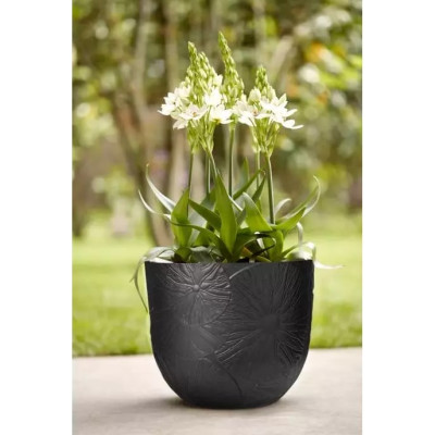 Вазон Elho fuente lily 30*24см чорний Вазон Elho fuente lily 30*24см чорний
