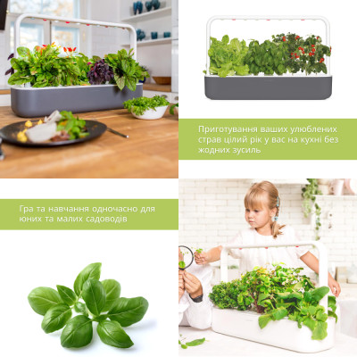 Smart Garden 9, , сірий Smart Garden 9, , сірий