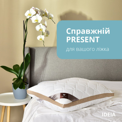 Подушка PRESENT з дихаючим бортом ТМ IDEIA 50х70 см білий/беж ( 8-34529*001 ) Подушка PRESENT з дихаючим бортом ТМ IDEIA 50х70 см білий/беж ( 8-34529*001 )