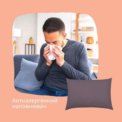 Набір подушок акційний ТМ IDEIA Comfort Classic 50х70 см, 2 шт шоколад ( 8-29570*002 ) Набір подушок акційний ТМ IDEIA Comfort Classic 50х70 см, 2 шт шоколад ( 8-29570*002 )