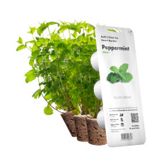 Картридж для розумної фермы Click&Grow, Яблучна м'ята
