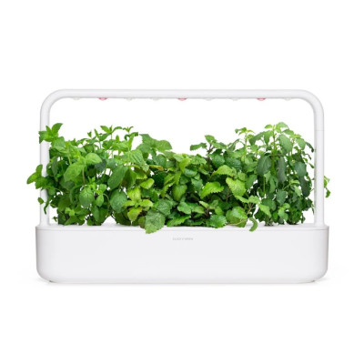 Змінний картридж Click & Grow Заспокійливий чай, мікс (9 капсул) Змінний картридж Click & Grow Заспокійливий чай, мікс (9 капсул)