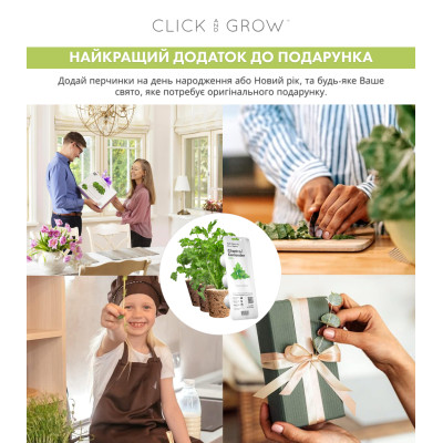 Картридж для розумної фермы Click&Grow, Коріандр Картридж для розумної фермы Click&Grow, Коріандр