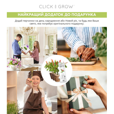 Картридж для розумної фермы Click&Grow, перец чили красный Картридж для розумної фермы Click&Grow, перец чили красный