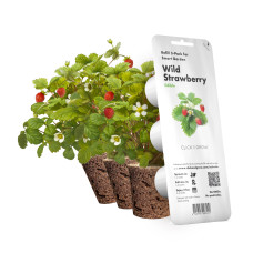 Картридж для розумної фермы Click&Grow, Дика суниця