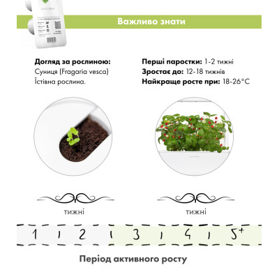 Картридж для розумної фермы Click&Grow, Дика суниця