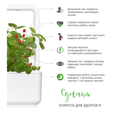 Картридж для розумної фермы Click&Grow, Дика суниця