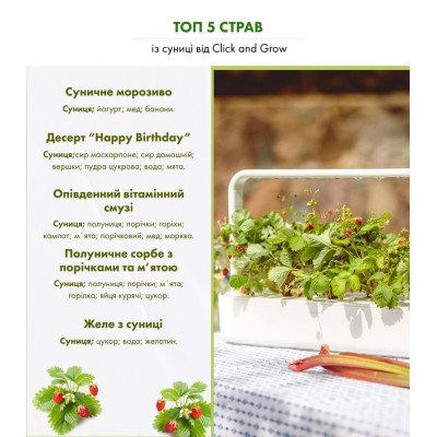 Картридж для розумної фермы Click&Grow, Дика суниця