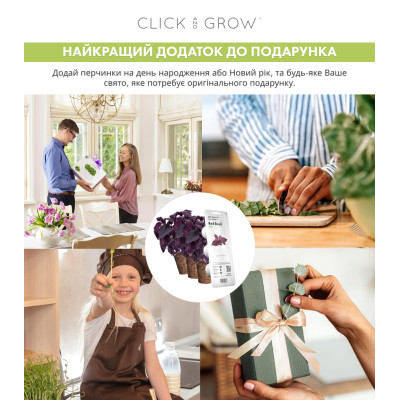 Картридж для розумної фермы Click&Grow, Червоний базилік Картридж для розумної фермы Click&Grow, Червоний базилік