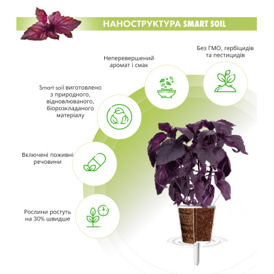 Картридж для розумної фермы Click&Grow, Червоний базилік Картридж для розумної фермы Click&Grow, Червоний базилік