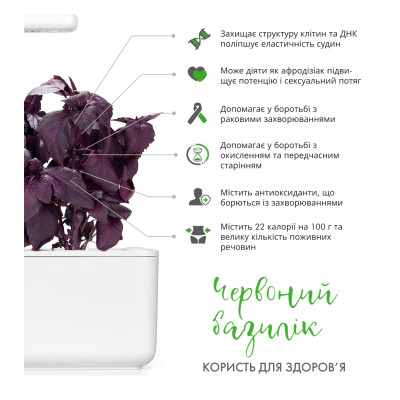 Картридж для розумної фермы Click&Grow, Червоний базилік Картридж для розумної фермы Click&Grow, Червоний базилік