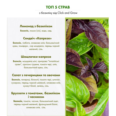 Картридж для розумної фермы Click&Grow, Червоний базилік Картридж для розумної фермы Click&Grow, Червоний базилік