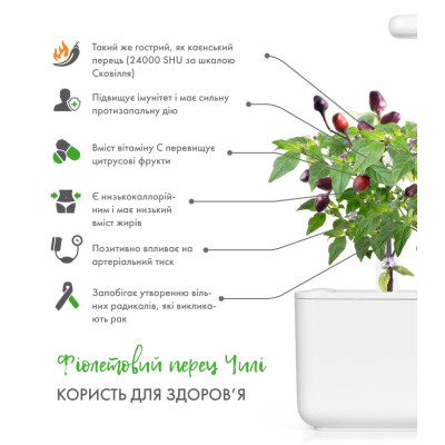 Картридж для розумної фермы Click&Grow, Фіолетовий перець Чилі