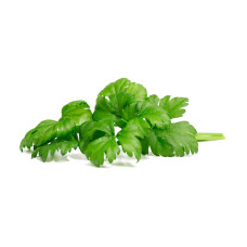 Змінний картридж Click & Grow Листова селера (3 капсули)
