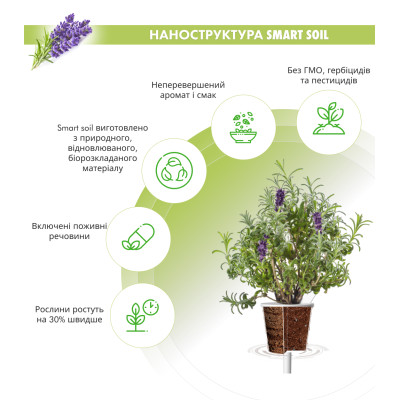 Картридж для розумної фермы Click&Grow, Лаванда