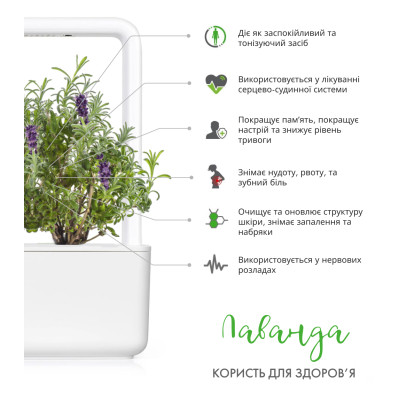 Картридж для розумної фермы Click&Grow, Лаванда