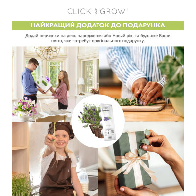Картридж для розумної фермы Click&Grow, Лаванда