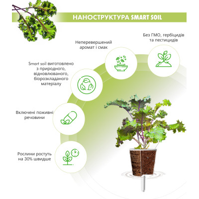 Картридж для розумної фермы Click&Grow, Червона капуста Кейл Картридж для розумної фермы Click&Grow, Червона капуста Кейл
