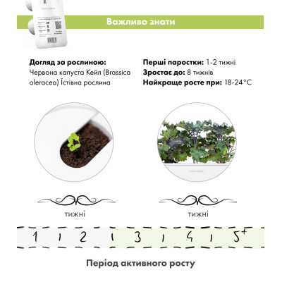 Картридж для розумної фермы Click&Grow, Червона капуста Кейл Картридж для розумної фермы Click&Grow, Червона капуста Кейл