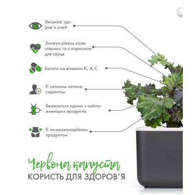 Картридж для розумної фермы Click&Grow, Червона капуста Кейл Картридж для розумної фермы Click&Grow, Червона капуста Кейл