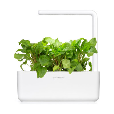Змінний картридж Click & Grow Зелений щавель (3 капсули) Змінний картридж Click & Grow Зелений щавель (3 капсули)