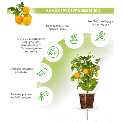 Картридж для розумної фермы Click&Grow, жовті міні-томати Картридж для розумної фермы Click&Grow, жовті міні-томати