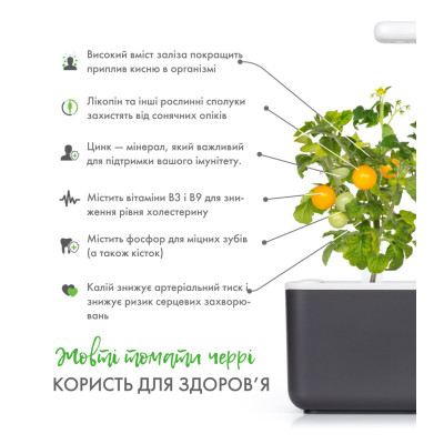 Картридж для розумної фермы Click&Grow, жовті міні-томати Картридж для розумної фермы Click&Grow, жовті міні-томати