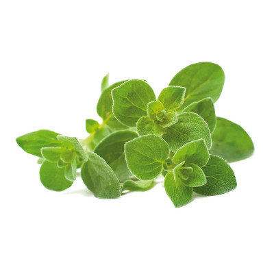 Картридж для умной фермы Click&Grow, Орегано