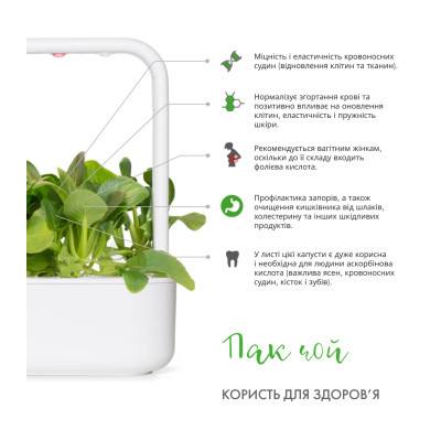 Картридж для розумної фермы Click&Grow, Пак Чой Картридж для розумної фермы Click&Grow, Пак Чой