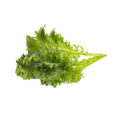 Змінний картридж Click & Grow Гірчиця васабі (3 капсули)