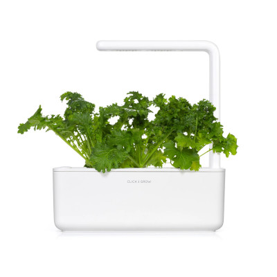Змінний картридж Click & Grow Гірчиця васабі (3 капсули) Змінний картридж Click & Grow Гірчиця васабі (3 капсули)