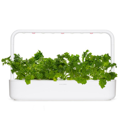 Змінний картридж Click & Grow Гірчиця васабі (3 капсули) Змінний картридж Click & Grow Гірчиця васабі (3 капсули)
