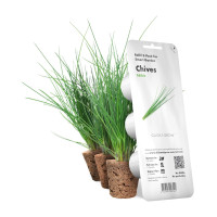 Картридж для розумної фермы Click&Grow, Цибуля зелена
