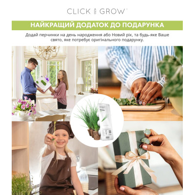 Картридж для розумної фермы Click&Grow, Цибуля зелена Картридж для розумної фермы Click&Grow, Цибуля зелена