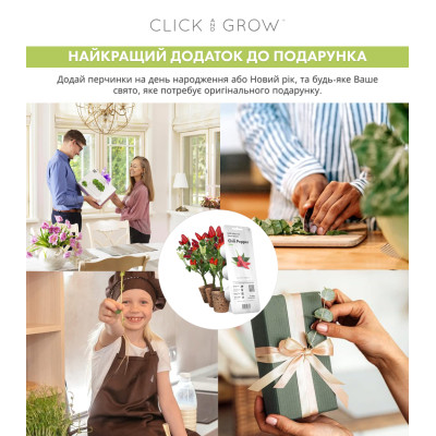 Картридж для розумної фермы Click&Grow, перець чилі Картридж для розумної фермы Click&Grow, перець чилі