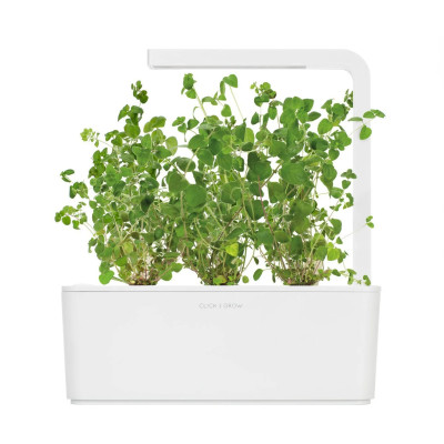 Змінний картридж Click & Grow Майоран (3 капсули) Змінний картридж Click & Grow Майоран (3 капсули)