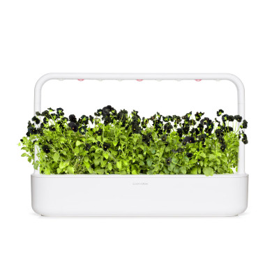 Сменный картридж Click & Grow Черная фиалка (3 капсулы)