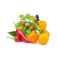 Змінний картридж Click & Grow Фрукти та овочі, мікс (9 капсул)