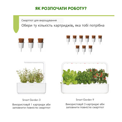 Картридж для розумної фермы Click&Grow, Чебрець