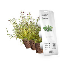 Картридж для розумної фермы Click&Grow, Чебрець