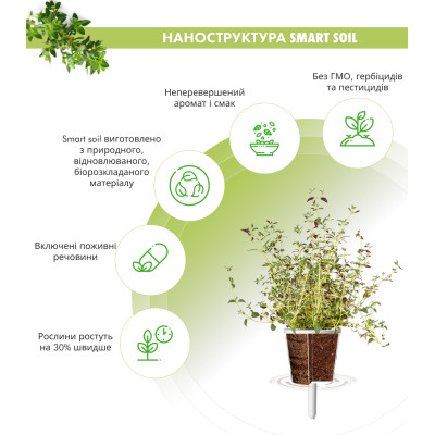 Картридж для розумної фермы Click&Grow, Чебрець