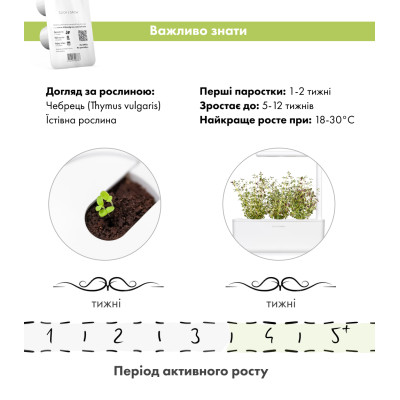 Картридж для розумної фермы Click&Grow, Чебрець