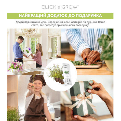 Картридж для розумної фермы Click&Grow, Чебрець