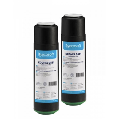 Ecosoft CRV2510ECO Ecomix D531 (х2)