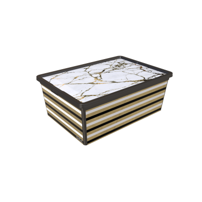 Контейнер Qutu Trend Box Pineapple Life, 10 л
