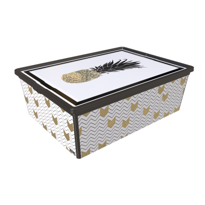 Контейнер Qutu Trend Box Pineapple Life, 25 л